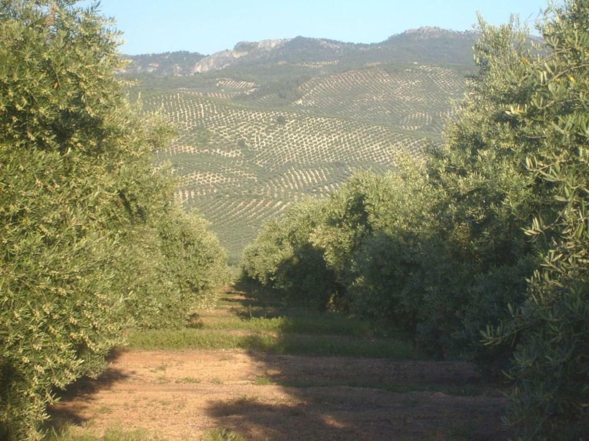 Вілла Cortijo El Derramadero Вільякаррільйо Екстер'єр фото