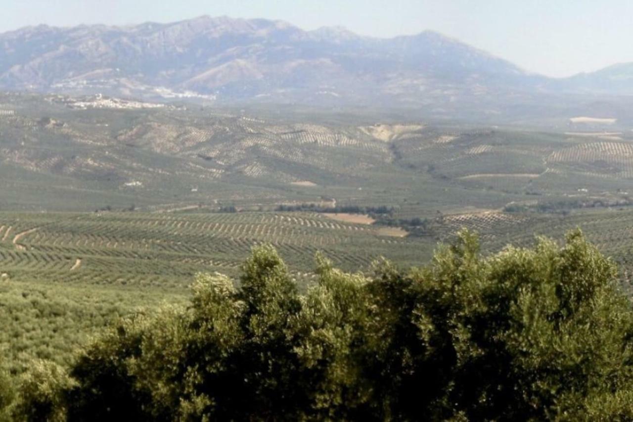 Вілла Cortijo El Derramadero Вільякаррільйо Екстер'єр фото